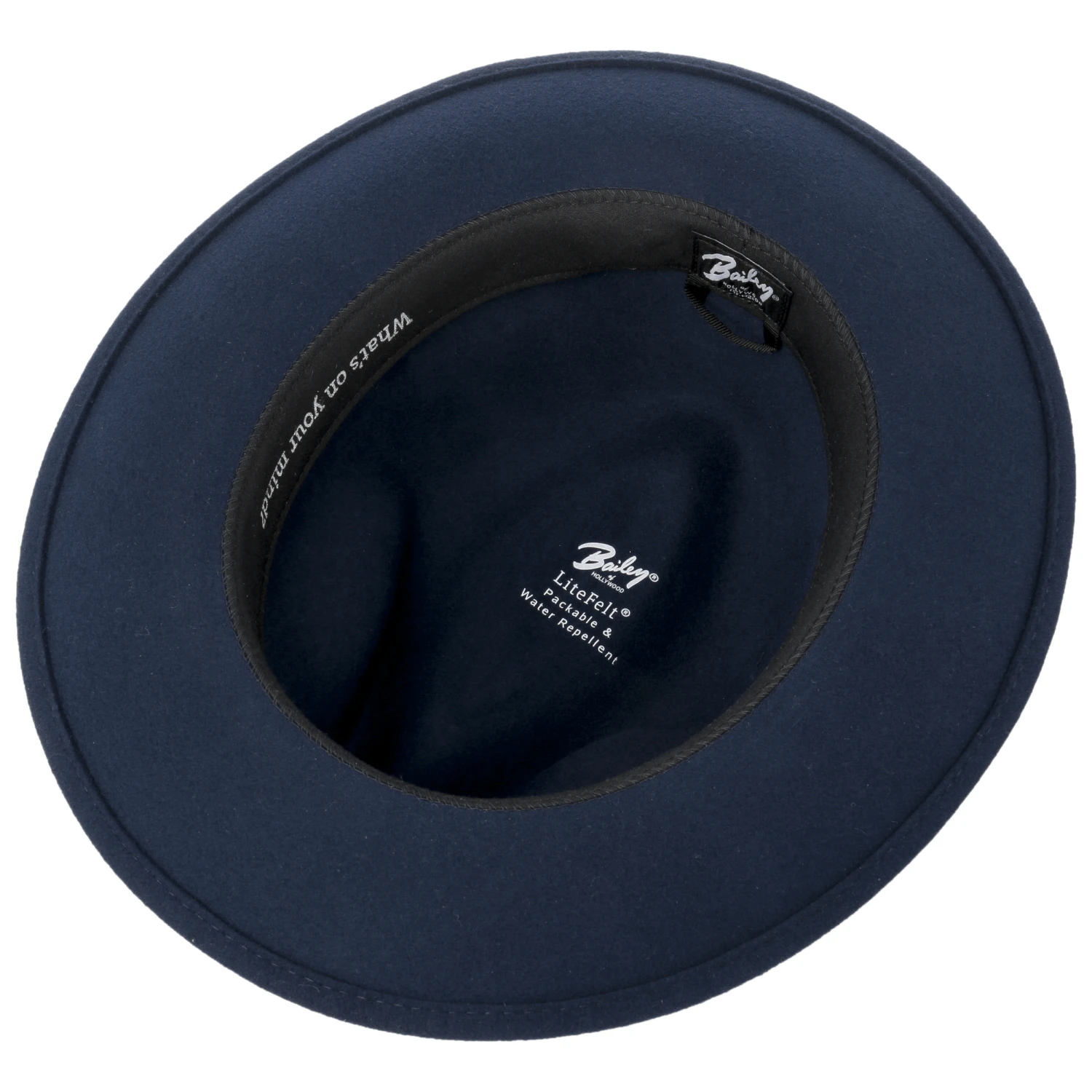 Bidwell Wollhut By Bailey 1922 4 Bidwell Wollhut By Bailey 1922 – Bild 4