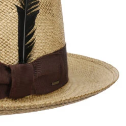 Tessiers Panamahut By Bailey 1922 6 Tessiers Panamahut By Bailey 1922 -Hut Shopping Tessiers Panamahut by Bailey 1922 natur.61710 4rf40